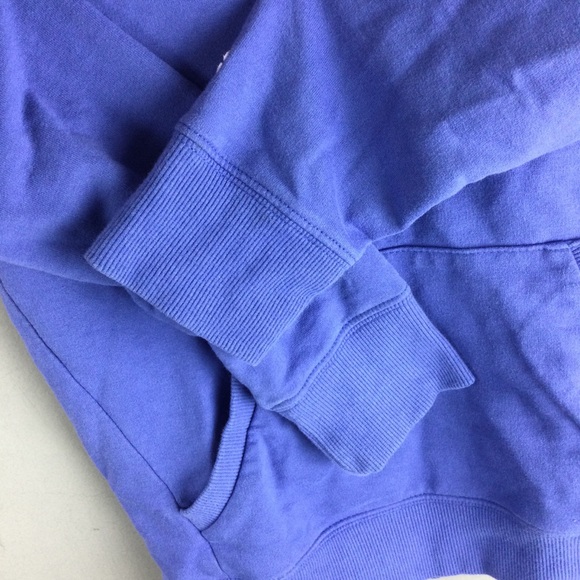 Champion French Terry Script Logo Raglan Sleeve Blue Hoodie Girl’s Size Large - Picture 9 of 11